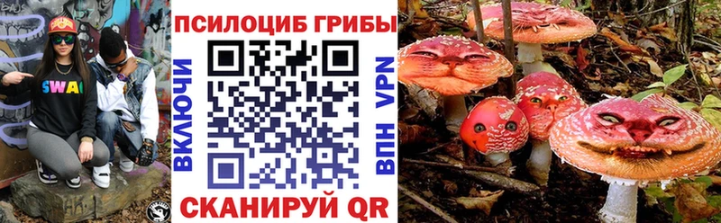 Псилоцибиновые грибы Cubensis  Стерлитамак 
